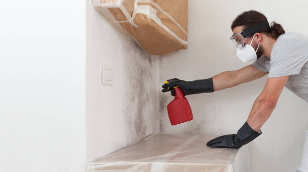Professional Black Mold Remediation technician working in Columbus, NC