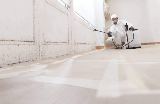 24/7 Emergency Black Mold Remediation experts in Columbus, NC