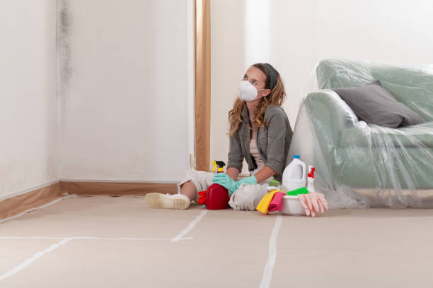 Reliable Black Mold Remediation contractor in Columbus, NC by Car Mold Remediation
