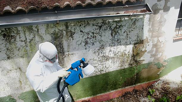 Top rated local Black Mold Remediation specialists in Columbus, NC
